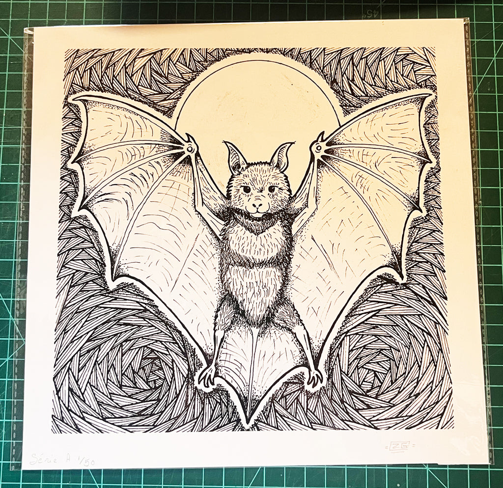 Chauve-souris de Pleine Lune